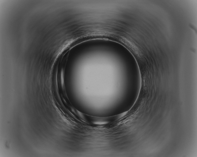 X0000091880436200709121416