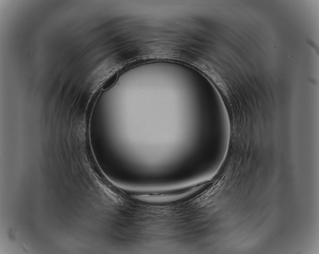 X0000091880437200709121416