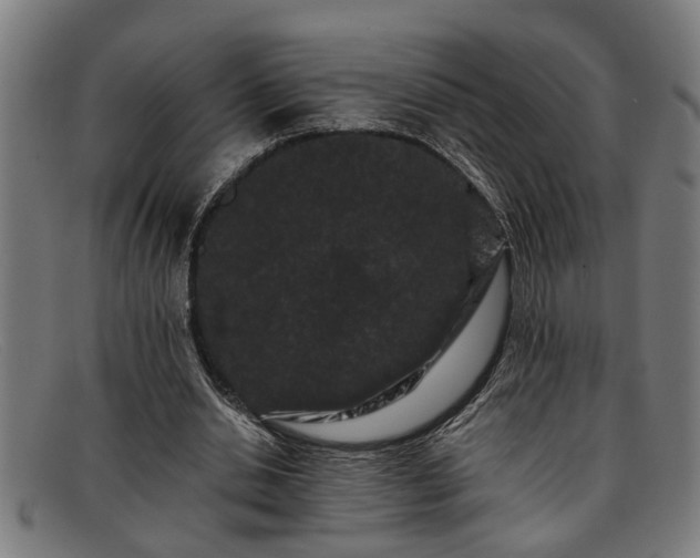 X0000091880438200709121416