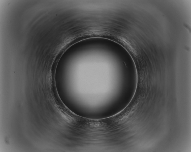 X0000091880439200709121416