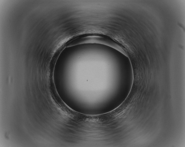 X0000091880440200709121416