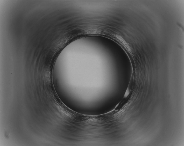 X0000091880441200709121416