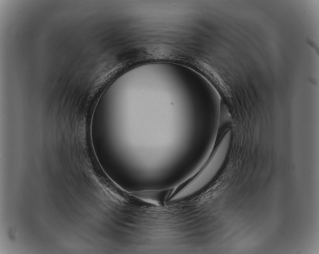 X0000091880442200709121416