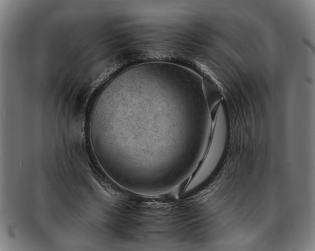 X0000091880443200709121416