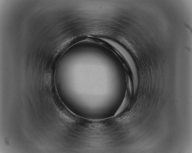 X0000091880444200709121416