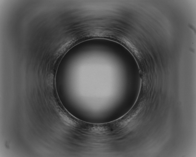 X0000091880445200709121416