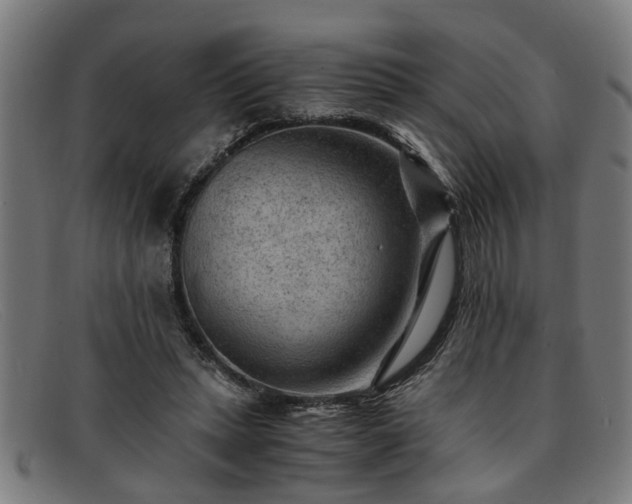 X0000091880447200709121416