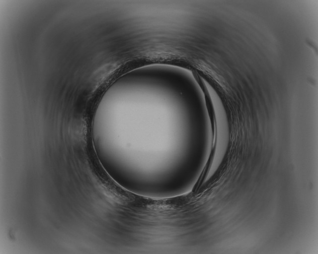 X0000091880448200709121416