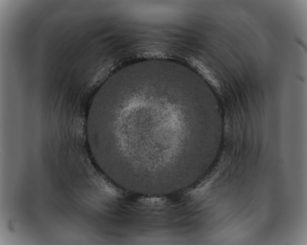 X0000091880449200709121416