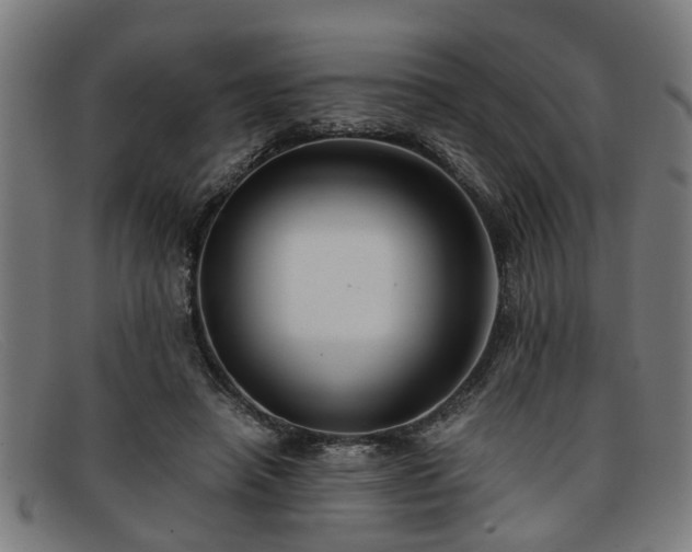 X0000091880450200709121416