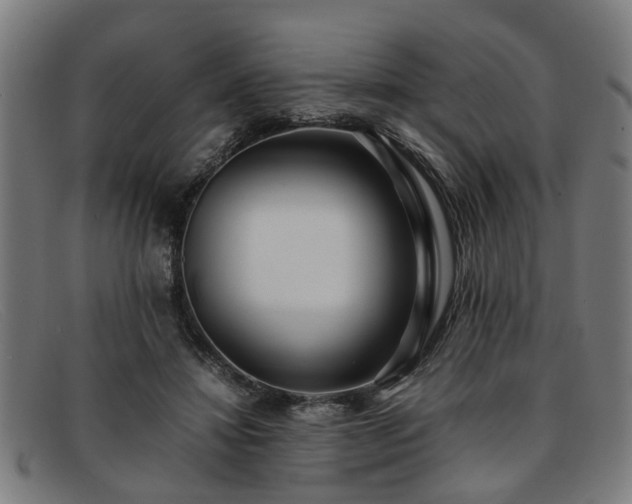 X0000091880452200709121416