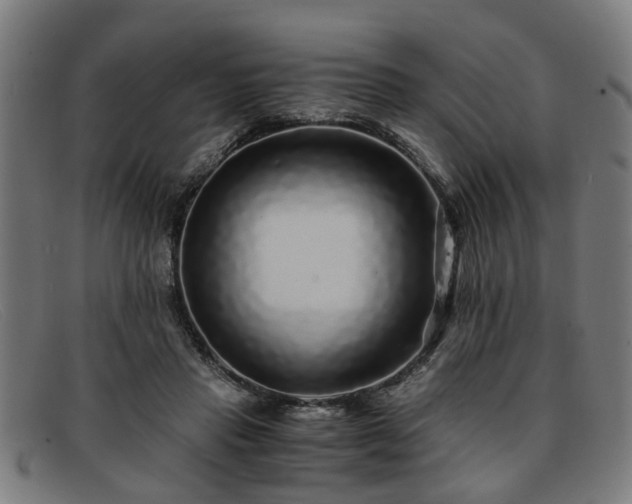 X0000091880453200709121416