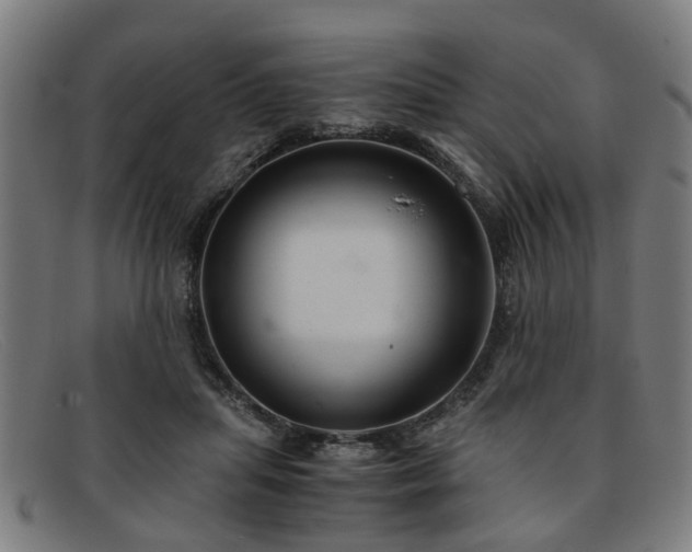 X0000091880455200709121416