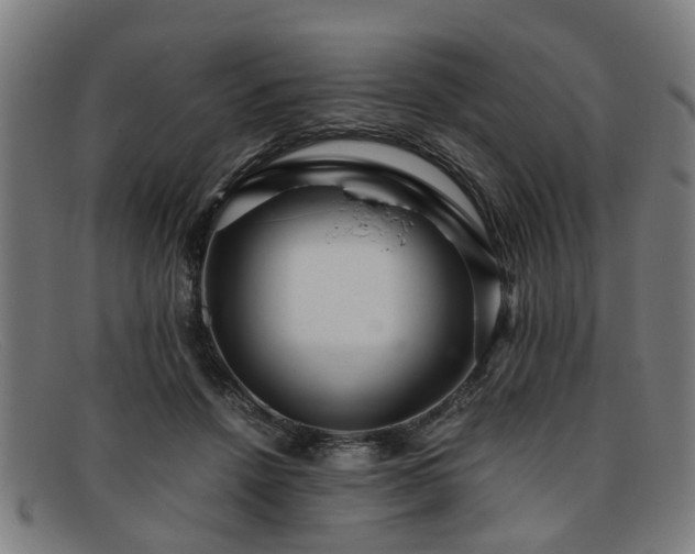 X0000091880456200709121416