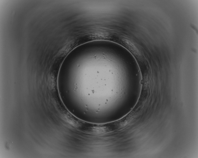 X0000091880457200709121416