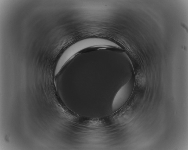 X0000091880458200709121416