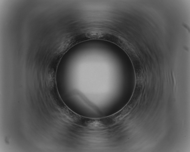 X0000091880460200709121416