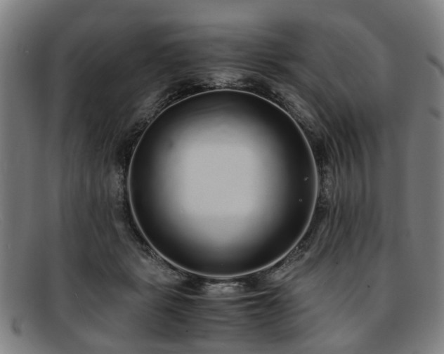 X0000091880461200709121416