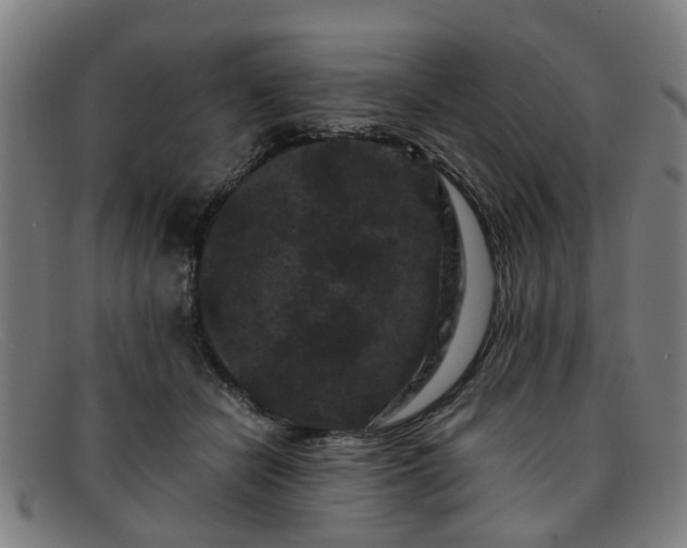 X0000091880462200709121417