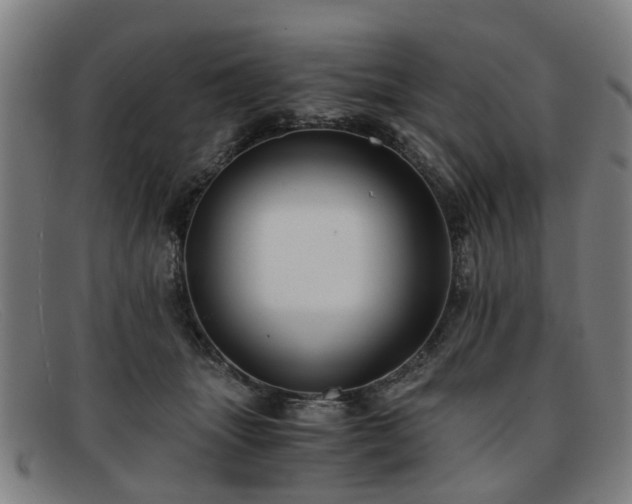 X0000091880463200709121417