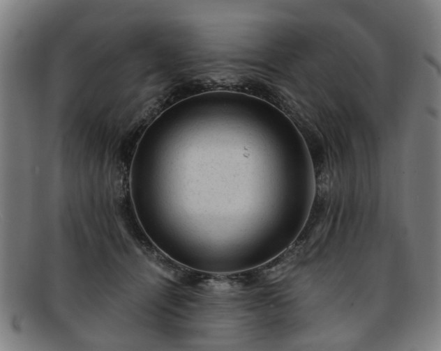 X0000091880464200709121417