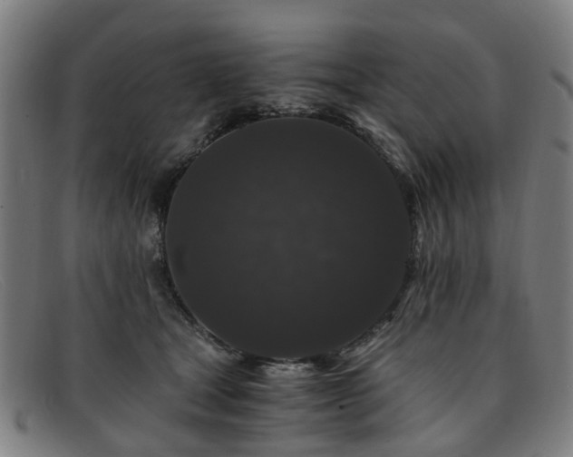 X0000091880465200709121417