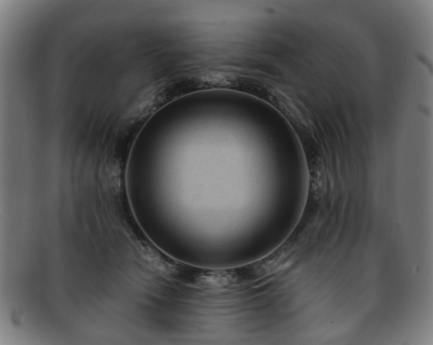 X0000091880466200709121417