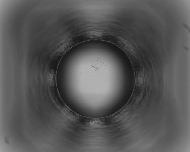 X0000091880468200709121417