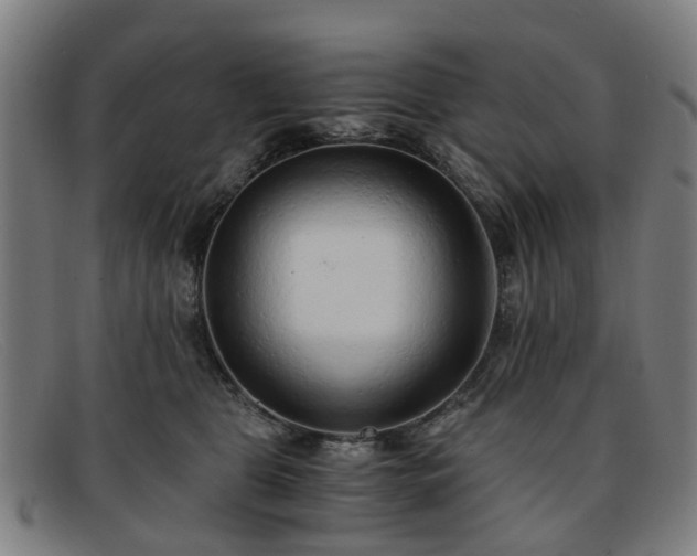 X0000091880469200709121417