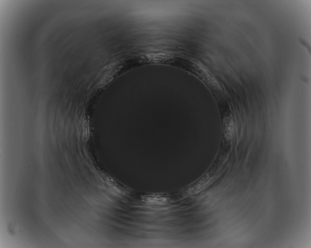 X0000091880471200709121417