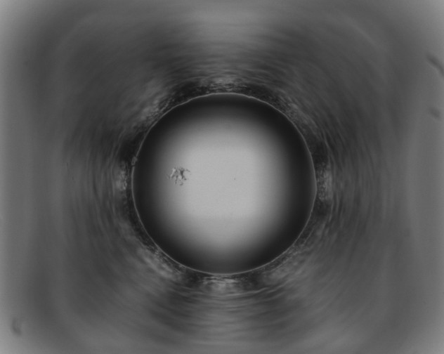 X0000091880472200709121417