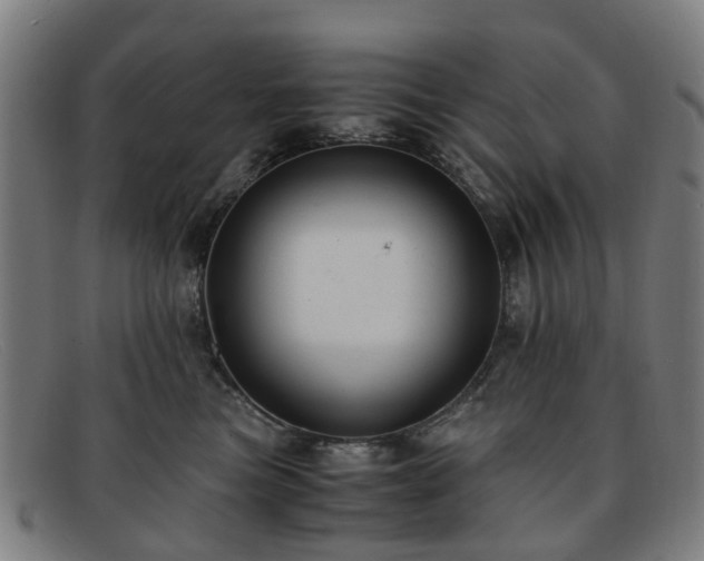 X0000091880473200709121417