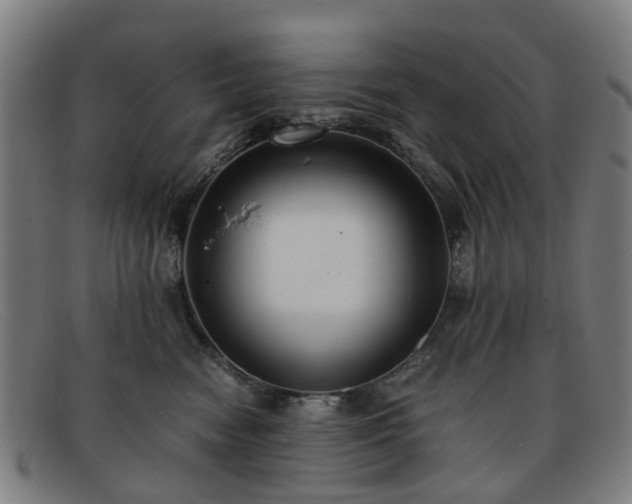 X0000091880474200709121417