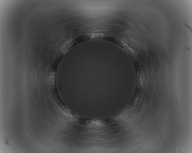 X0000091880475200709121417