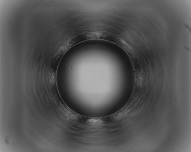 X0000091880477200709121417