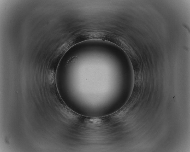 X0000091880478200709121417