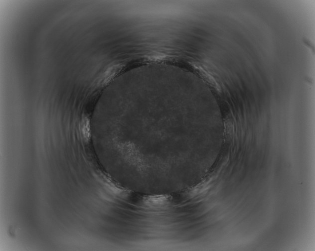 X0000091880479200709121417