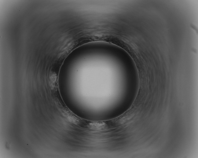 X0000091880480200709121417