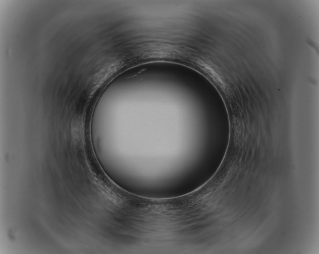 X0000091880482200709121416