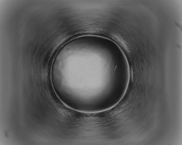 X0000091880483200709121416