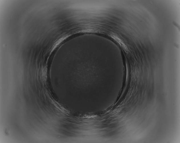 X0000091880484200709121416