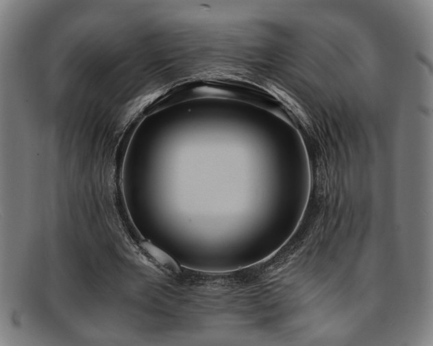 X0000091880485200709121416