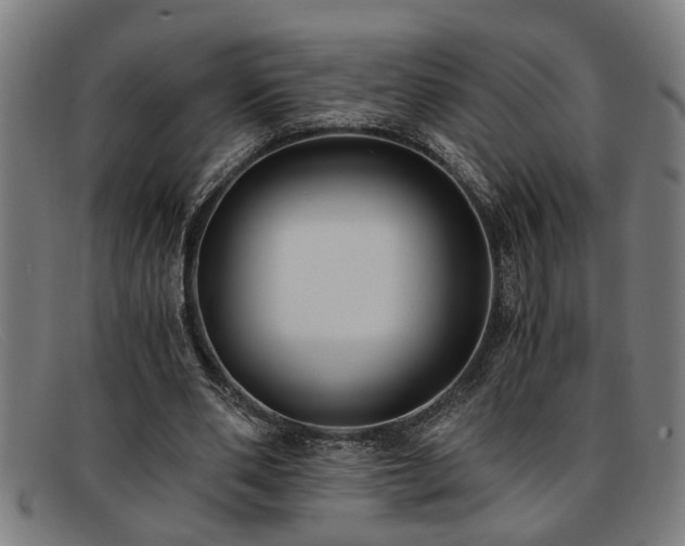 X0000091880486200709121416