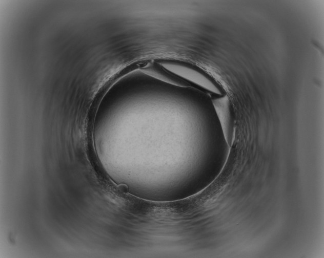 X0000091880487200709121416