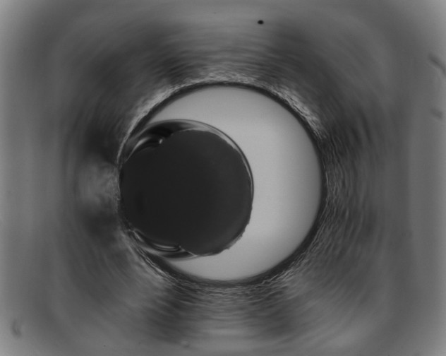 X0000091880488200709121416