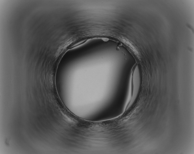 X0000091880489200709121416