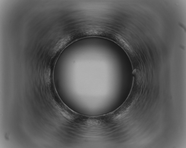 X0000091880490200709121416