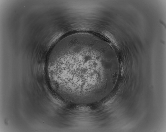 X0000091880491200709121416