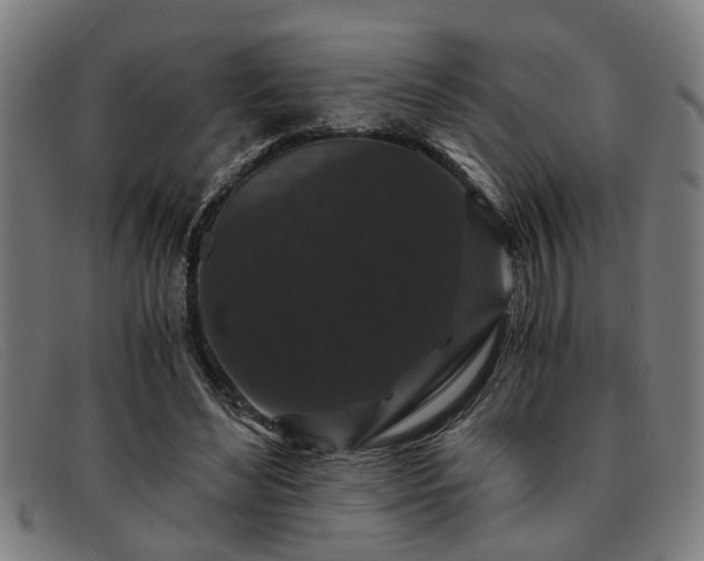 X0000091880492200709121416