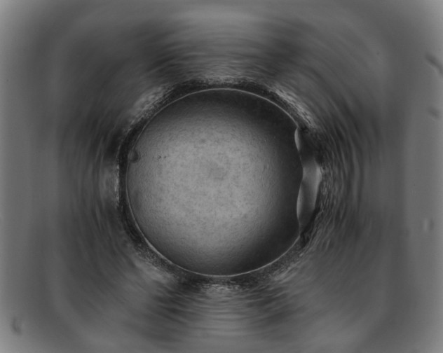 X0000091880494200709121416